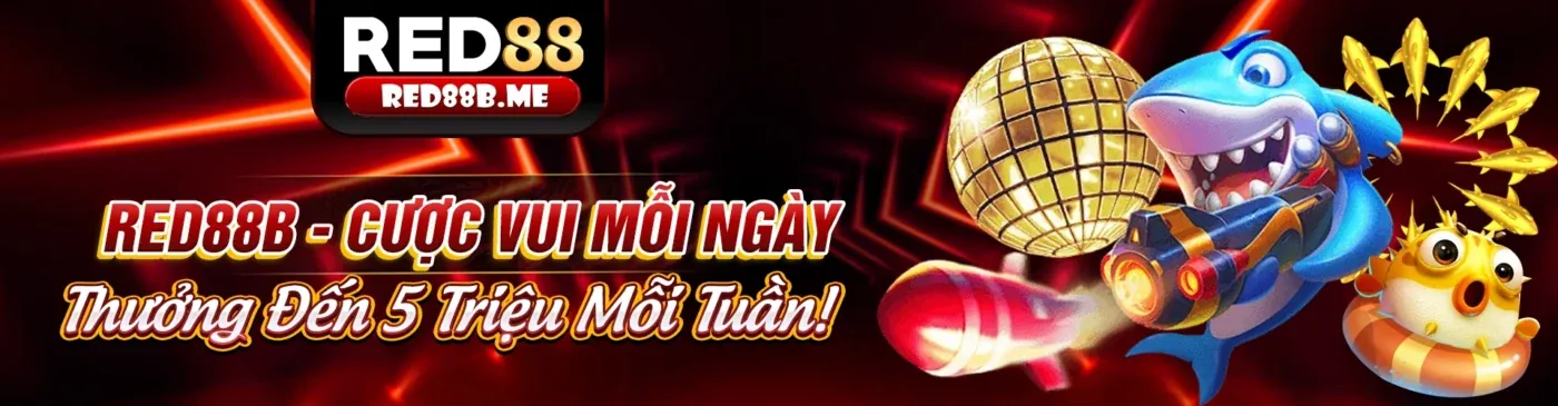 Chương trình VIP dk68 với các cấp độ và quyền lợi độc quyền